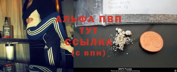 хмурый Алзамай