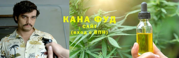 хмурый Алзамай