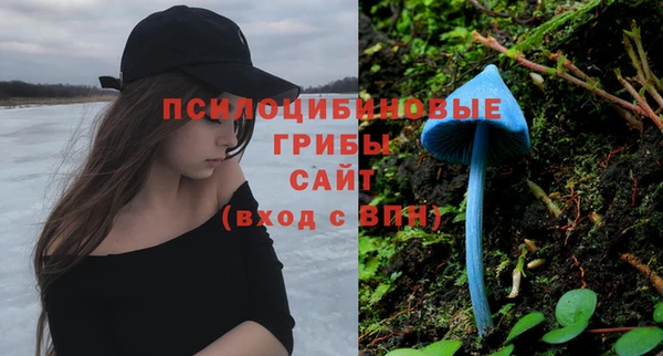 хмурый Алзамай