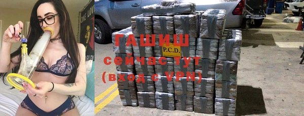 хмурый Алзамай