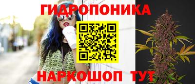 индика Краснодар