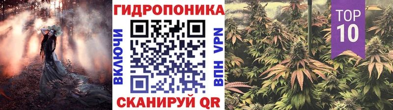 Конопля индика Сыктывкар